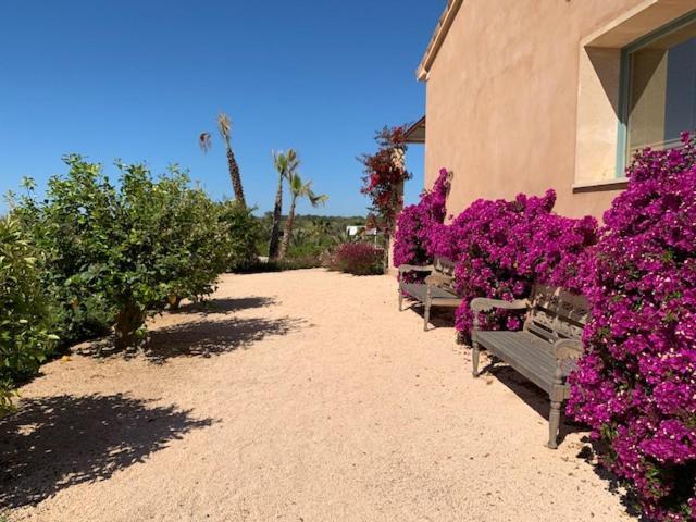 El Idilio Ses Salines (Mallorca)